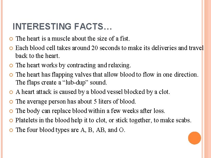 INTERESTING FACTS… The heart is a muscle about the size of a fist. Each