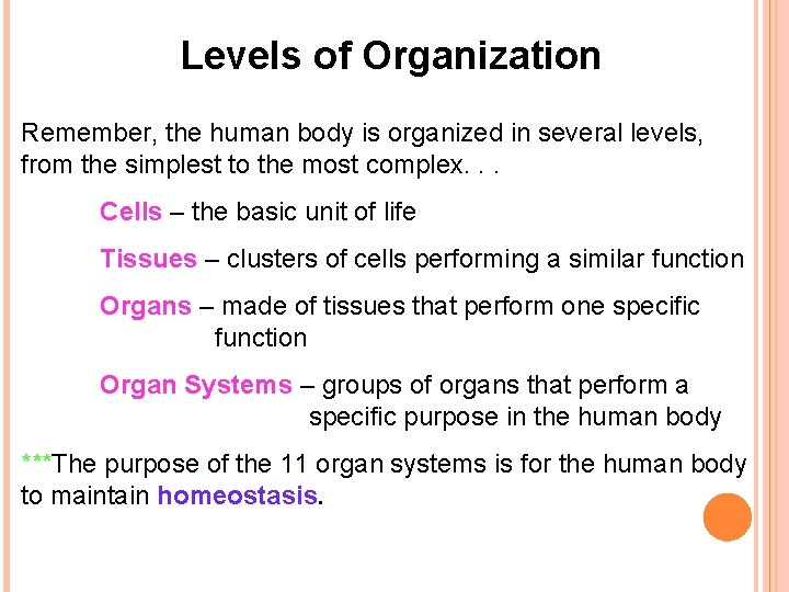 Levels of Organization Remember, the human body is organized in several levels, from the