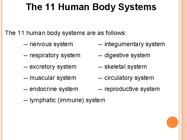 The 11 Human Body Systems The 11 human body systems are as follows: --