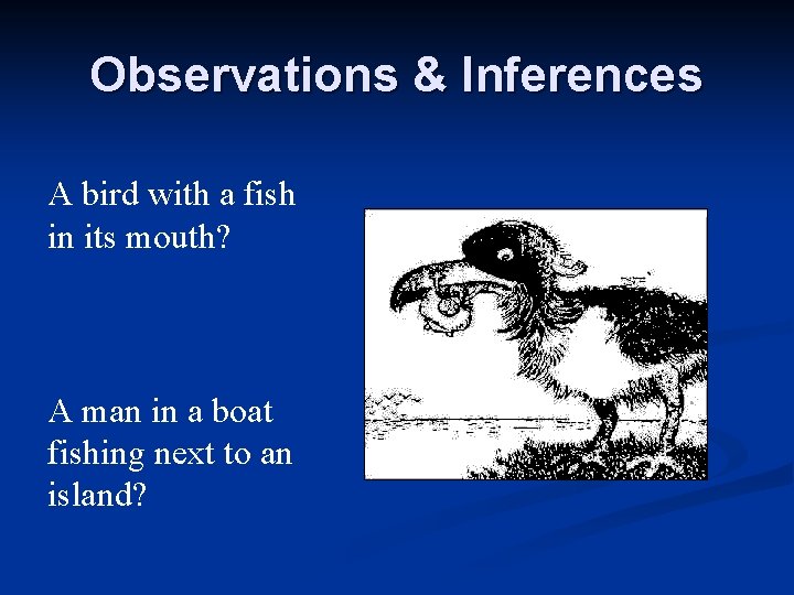 Observations & Inferences A bird with a fish in its mouth? A man in Observations & Inferences A bird with a fish in its mouth? A man in