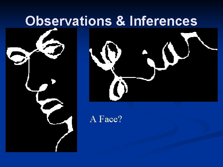Observations & Inferences A Face? Observations & Inferences A Face?