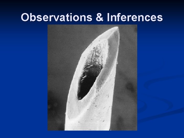 Observations & Inferences Observations & Inferences
