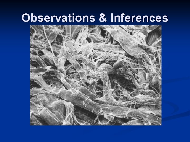 Observations & Inferences Observations & Inferences