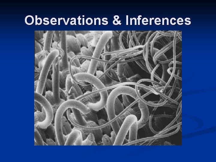 Observations & Inferences Observations & Inferences