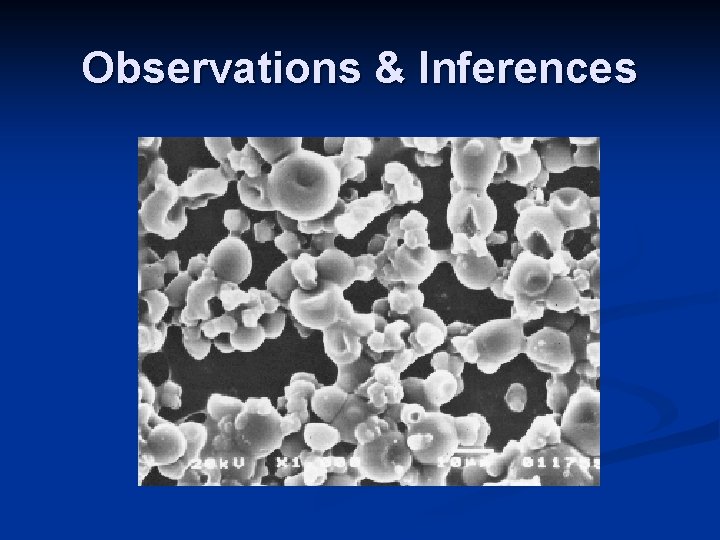 Observations & Inferences Observations & Inferences