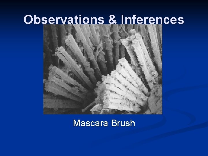 Observations & Inferences Mascara Brush Observations & Inferences Mascara Brush