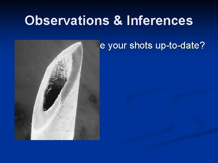 Observations & Inferences Are your shots up-to-date? Observations & Inferences Are your shots up-to-date?