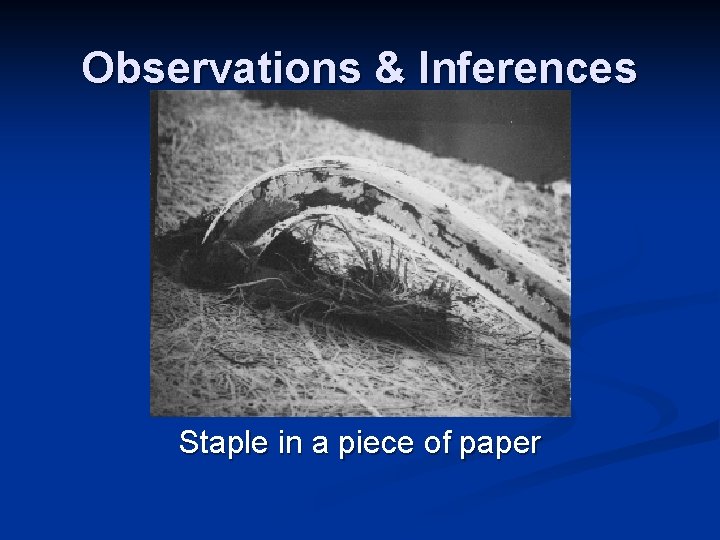 Observations & Inferences Staple in a piece of paper Observations & Inferences Staple in a piece of paper