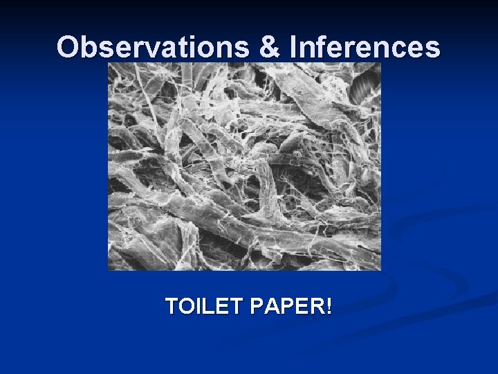 Observations & Inferences TOILET PAPER! Observations & Inferences TOILET PAPER!