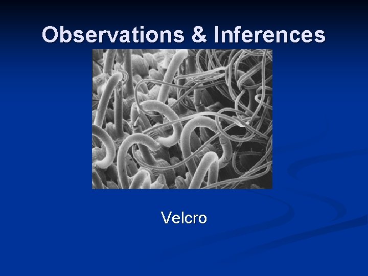 Observations & Inferences Velcro Observations & Inferences Velcro