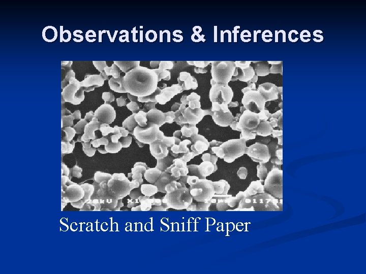 Observations & Inferences Scratch and Sniff Paper Observations & Inferences Scratch and Sniff Paper
