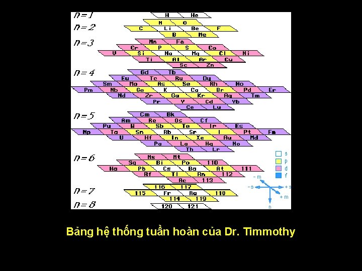 Bảng hệ thống tuần hoàn của Dr. Timmothy 