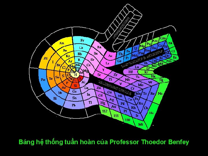 Bảng hệ thống tuần hoàn của Professor Thoedor Benfey 