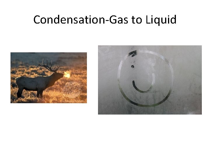 Condensation-Gas to Liquid 