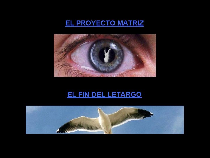 EL PROYECTO MATRIZ EL FIN DEL LETARGO 