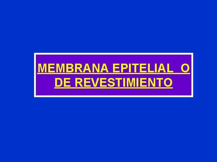 MEMBRANA EPITELIAL O DE REVESTIMIENTO MEMBRANA EPITELIAL O DE REVESTIMIENTO