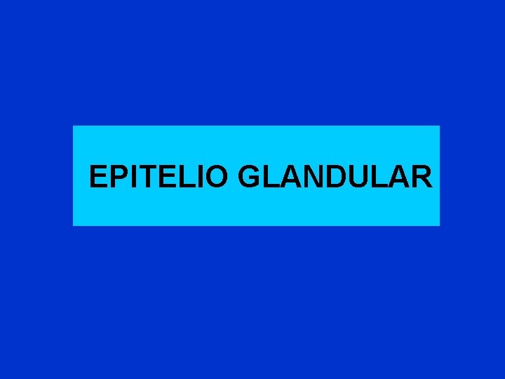EPITELIO GLANDULAR EPITELIO GLANDULAR