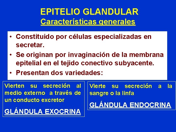 EPITELIO GLANDULAR Características generales • Constituido por células especializadas en secretar. • Se originan EPITELIO GLANDULAR Características generales • Constituido por células especializadas en secretar. • Se originan
