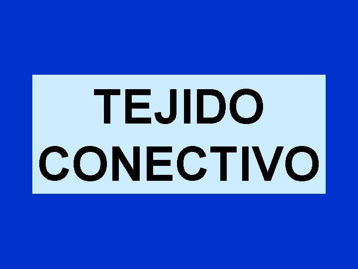 TEJIDO CONECTIVO TEJIDO CONECTIVO