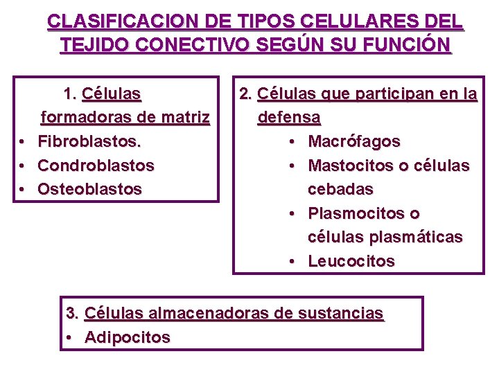 CLASIFICACION DE TIPOS CELULARES DEL TEJIDO CONECTIVO SEGÚN SU FUNCIÓN • • • 1. CLASIFICACION DE TIPOS CELULARES DEL TEJIDO CONECTIVO SEGÚN SU FUNCIÓN • • • 1.
