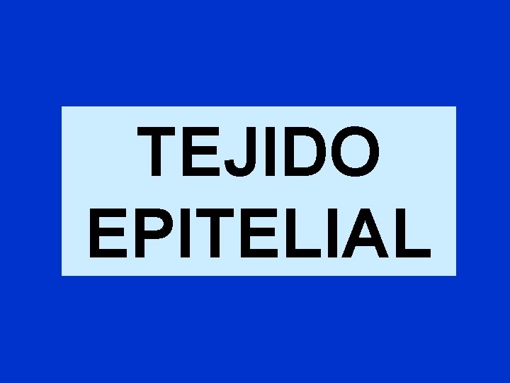 TEJIDO EPITELIAL TEJIDO EPITELIAL