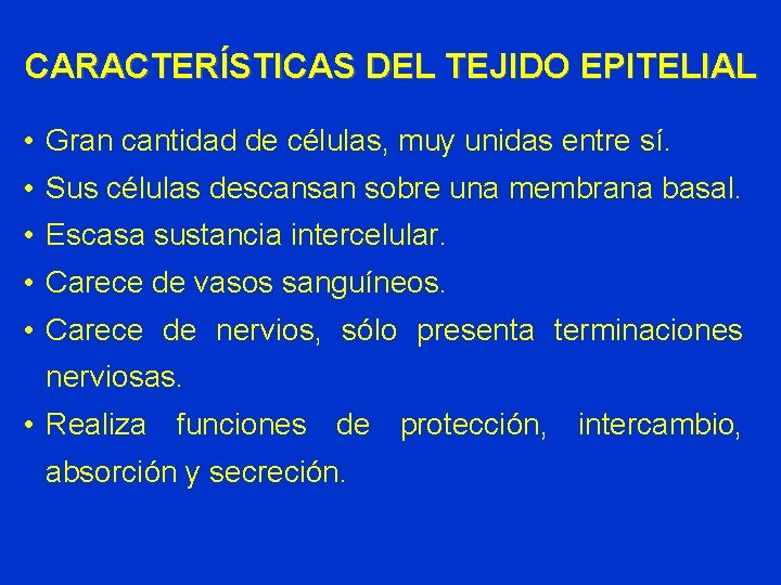 CARACTERÍSTICAS DEL TEJIDO EPITELIAL • Gran cantidad de células, muy unidas entre sí. • CARACTERÍSTICAS DEL TEJIDO EPITELIAL • Gran cantidad de células, muy unidas entre sí. •
