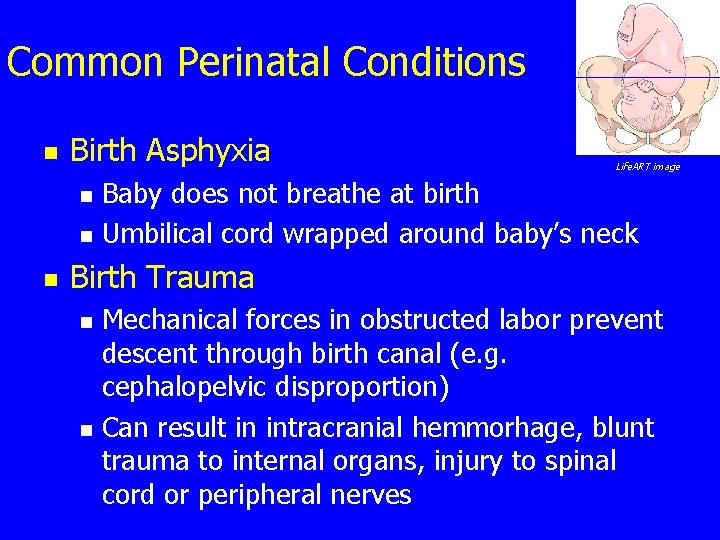 Common Perinatal Conditions n Birth Asphyxia n n n Life. ART image Baby does