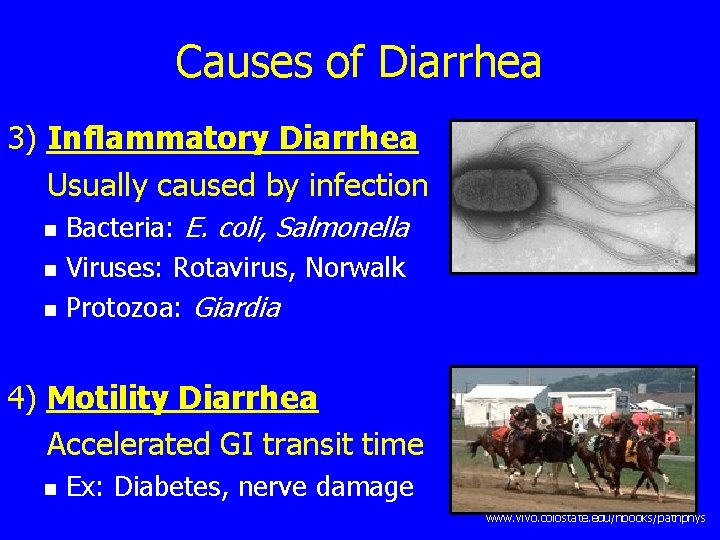Causes of Diarrhea 3) Inflammatory Diarrhea Usually caused by infection n Bacteria: E. coli,