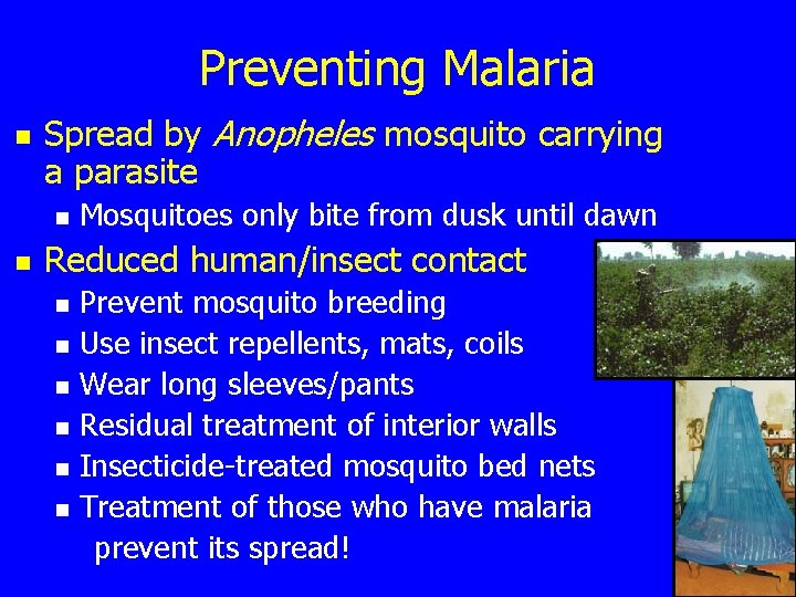 Preventing Malaria n Spread by Anopheles mosquito carrying a parasite n n Mosquitoes only