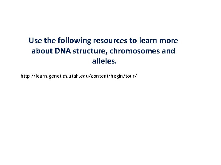 Use the following resources to learn more about DNA structure, chromosomes and alleles. http: