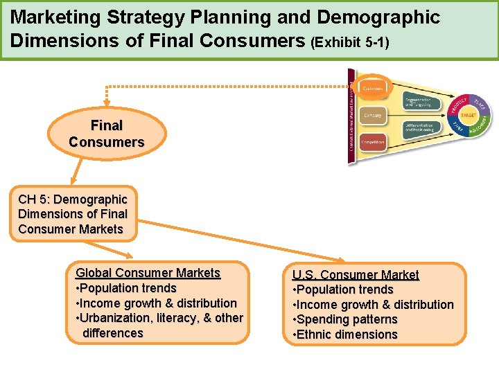 Marketing Strategy Planning and Demographic Dimensions of Final Consumers (Exhibit 5 -1) Final Consumers