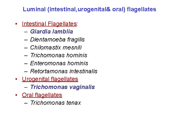 Luminal (intestinal, urogenital& oral) flagellates • Intestinal Flagellates: – Giardia lamblia – Dientamoeba fragilis