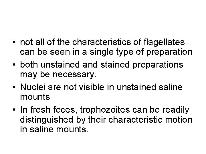  • not all of the characteristics of flagellates can be seen in a