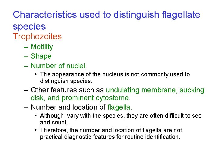 Characteristics used to distinguish flagellate species Trophozoites – Motility – Shape – Number of