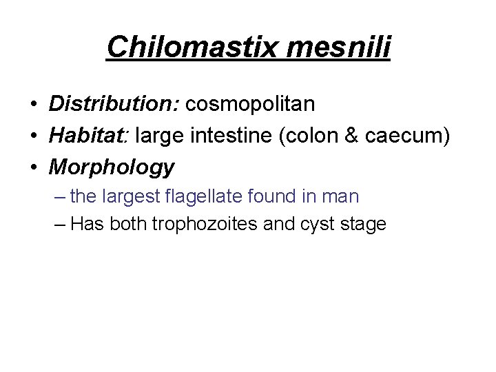 Chilomastix mesnili • Distribution: cosmopolitan • Habitat: large intestine (colon & caecum) • Morphology