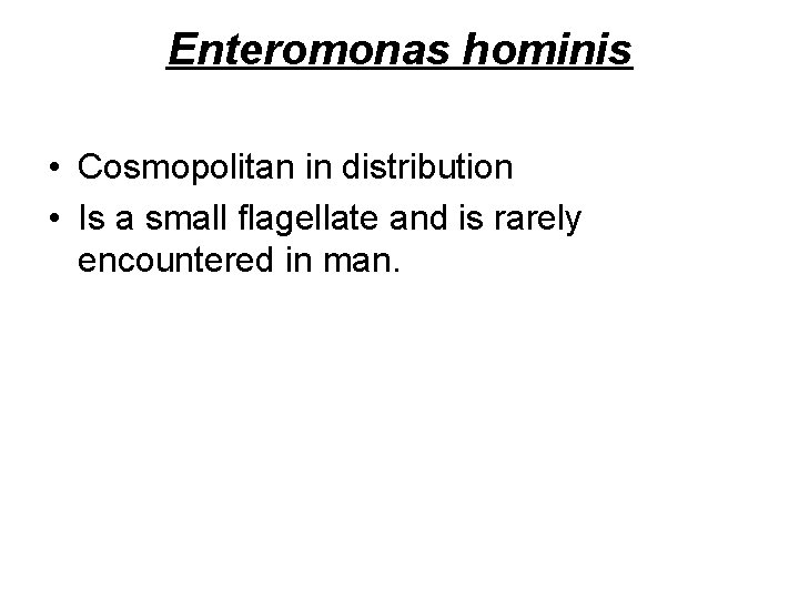 Enteromonas hominis • Cosmopolitan in distribution • Is a small flagellate and is rarely