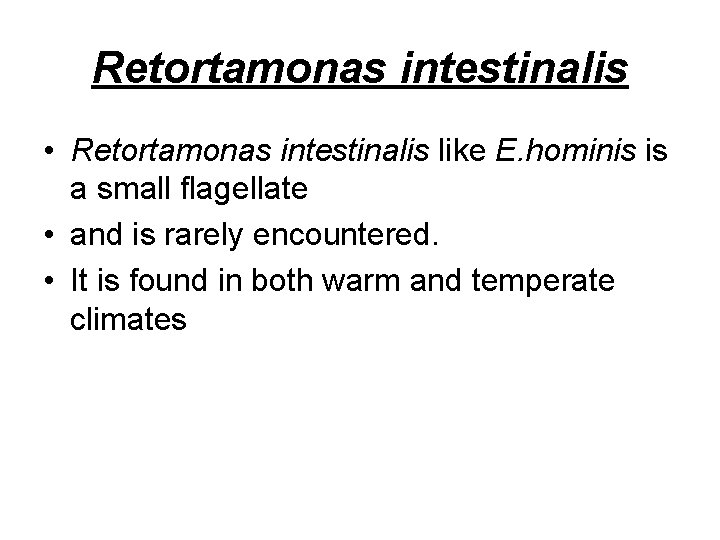 Retortamonas intestinalis • Retortamonas intestinalis like E. hominis is a small flagellate • and