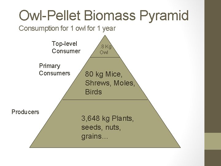 Owl-Pellet Biomass Pyramid Consumption for 1 owl for 1 year Top-level Consumer Primary Consumers