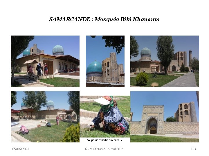 SAMARCANDE : Mosquée Bibi Khanoum Coupeuse d’herbe aux ciseaux 05/06/2021 Ouzbékistan 2 -16 mai