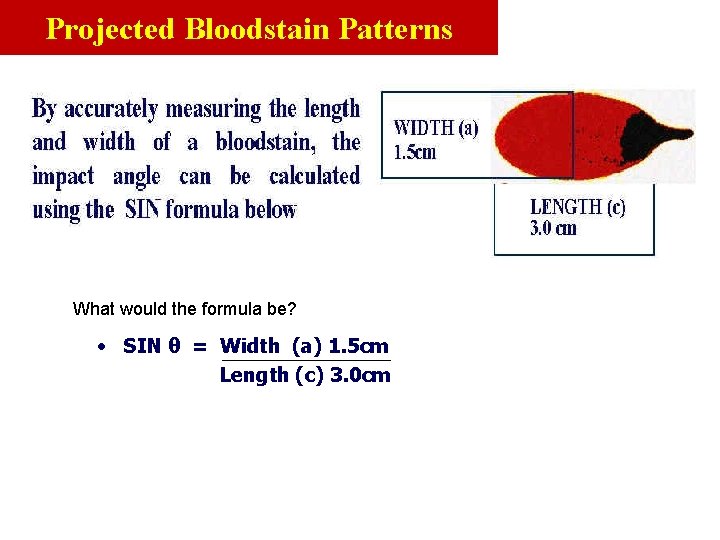 Projected Bloodstain Patterns What would the formula be? • SIN θ = Width (a)