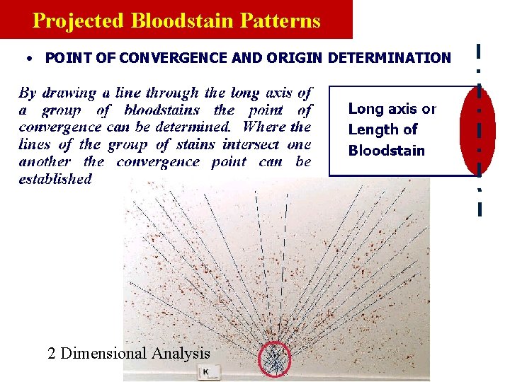 Projected Bloodstain Patterns • POINT OF CONVERGENCE AND ORIGIN DETERMINATION 2 Dimensional Analysis 