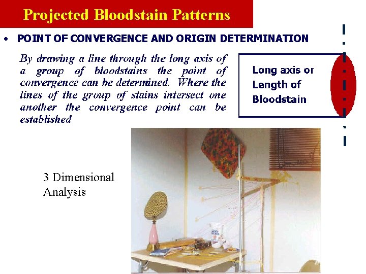 Projected Bloodstain Patterns • POINT OF CONVERGENCE AND ORIGIN DETERMINATION 3 Dimensional Analysis 