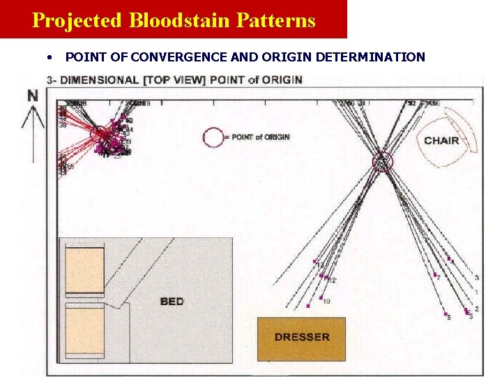 Projected Bloodstain Patterns • POINT OF CONVERGENCE AND ORIGIN DETERMINATION 