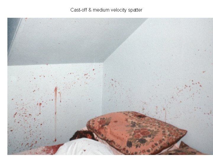 Cast-off & medium velocity spatter 