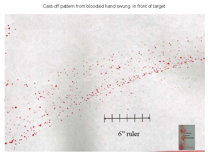 Cast-off pattern from bloodied hand swung in front of target 6” ruler 