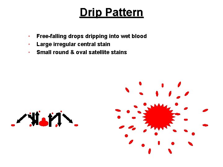 Drip Pattern • • • Free-falling drops dripping into wet blood Large irregular central