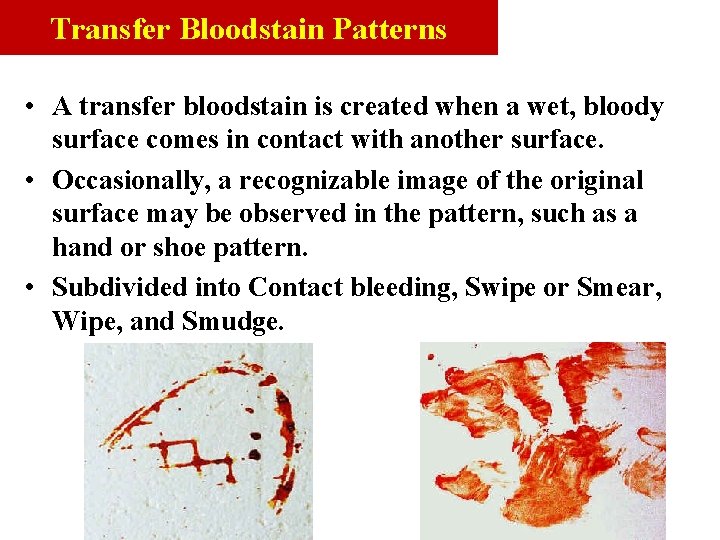 Transfer Bloodstain Patterns • A transfer bloodstain is created when a wet, bloody surface