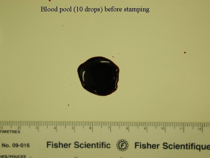 Blood pool (10 drops) before stamping Stamp 1 