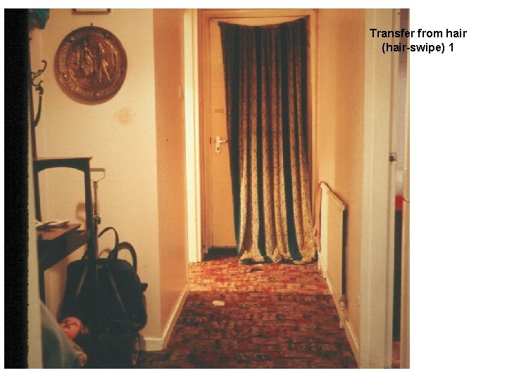 Transfer from hair (hair-swipe) 1 