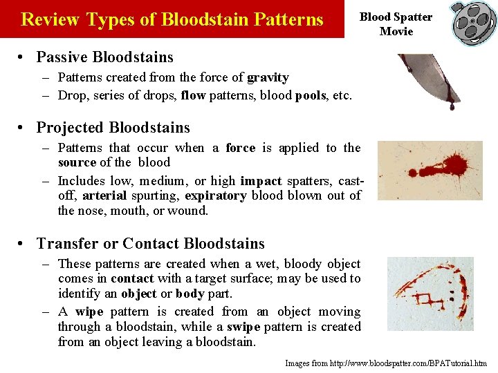 Review Types of Bloodstain Patterns Blood Spatter Movie • Passive Bloodstains – Patterns created